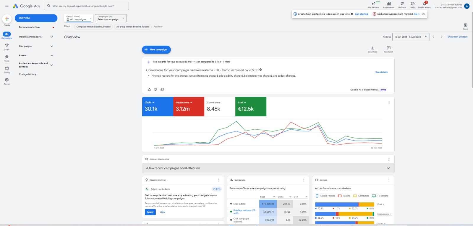 Google Ads Campaign Results